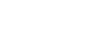 Flink logo